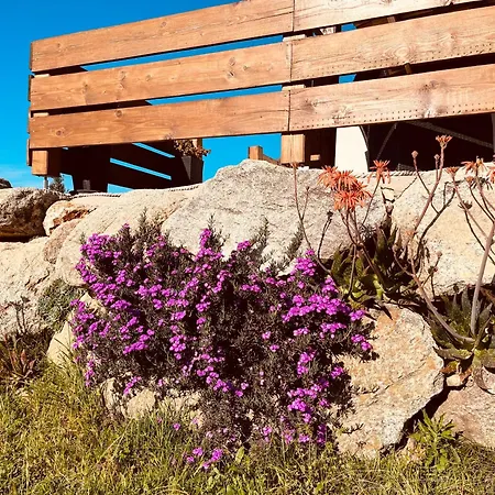 Appartement Casa Toga Galeria (Corsica)