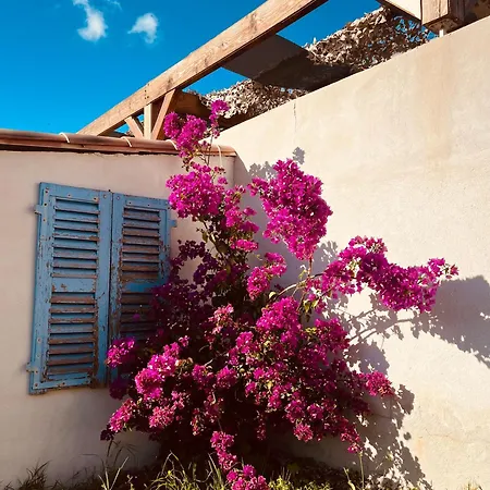 Casa Toga