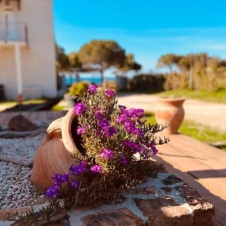 Casa Toga Διαμέρισμα