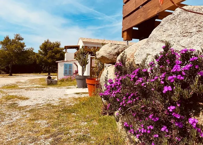 Appartement Résidence Casa Toga Galéria