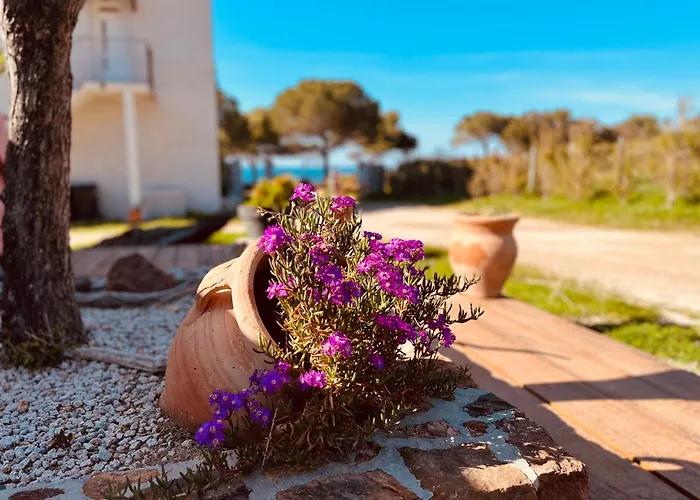 Résidence Casa Toga Appartement