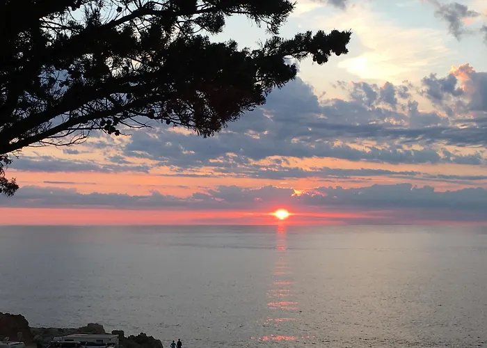 Appartement Résidence Casa Toga Galéria