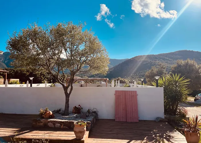 Résidence Casa Toga Appartement