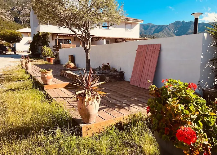 Casa Toga *